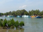 Mersing fishing boats.JPG (109 KB)